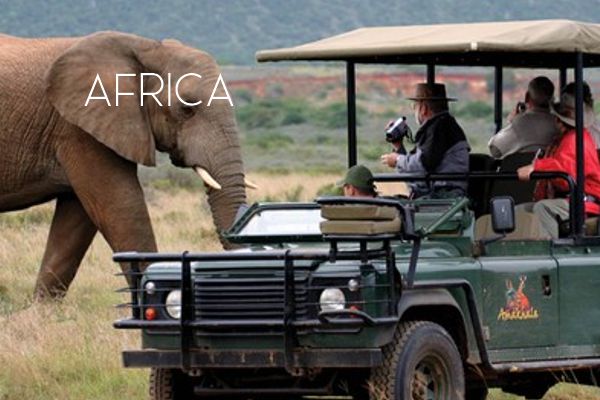 africa Hotels
