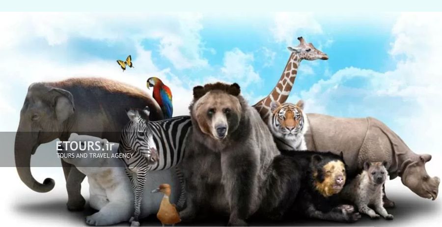 تورهای نمایشگاه حیوانات خانگی و باغ وحش