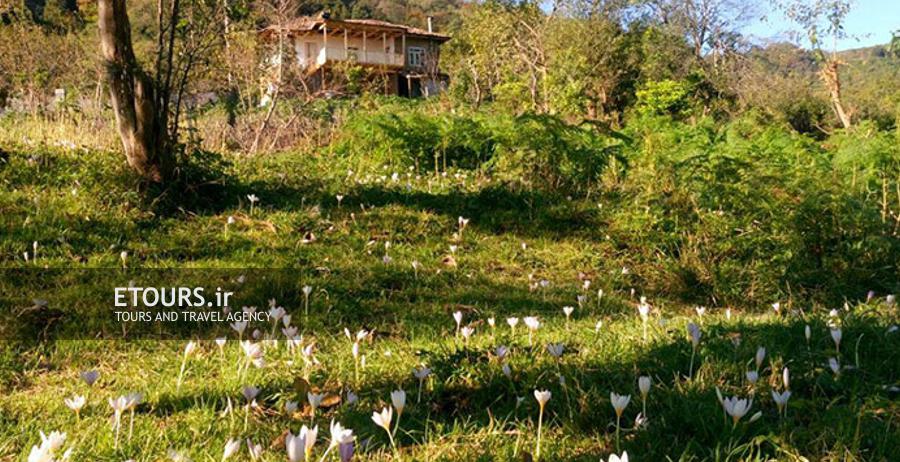 اقامتگاه سنتی خونه مادرجون 