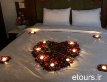 سوئیت جونیور