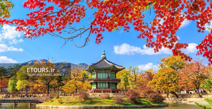 تور کره جنوبی و ژاپن
